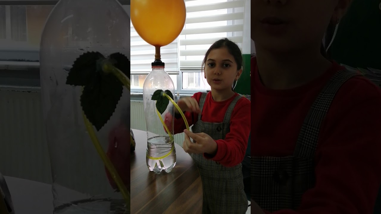 Görme Engelliler için tasarım Plan 2 Second Grade Stem and CODING projesi