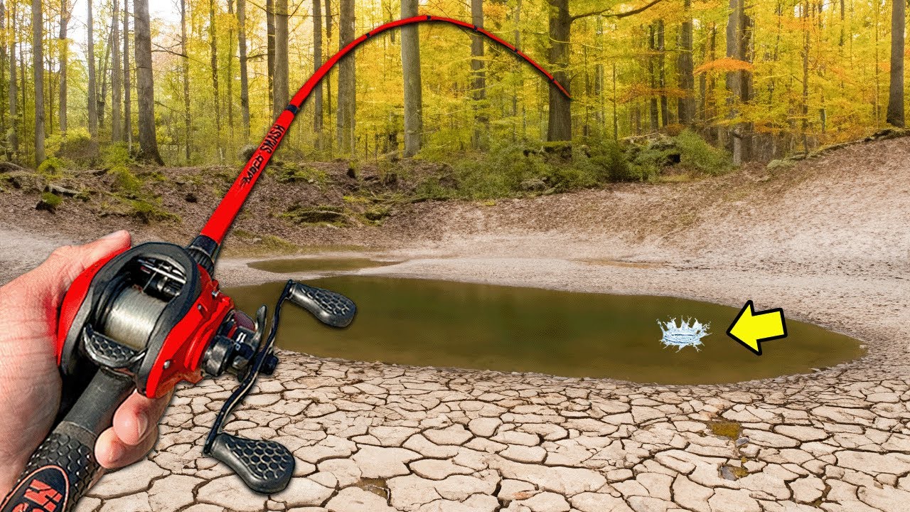 Fishing Tiny Puddles for Big Bass!
