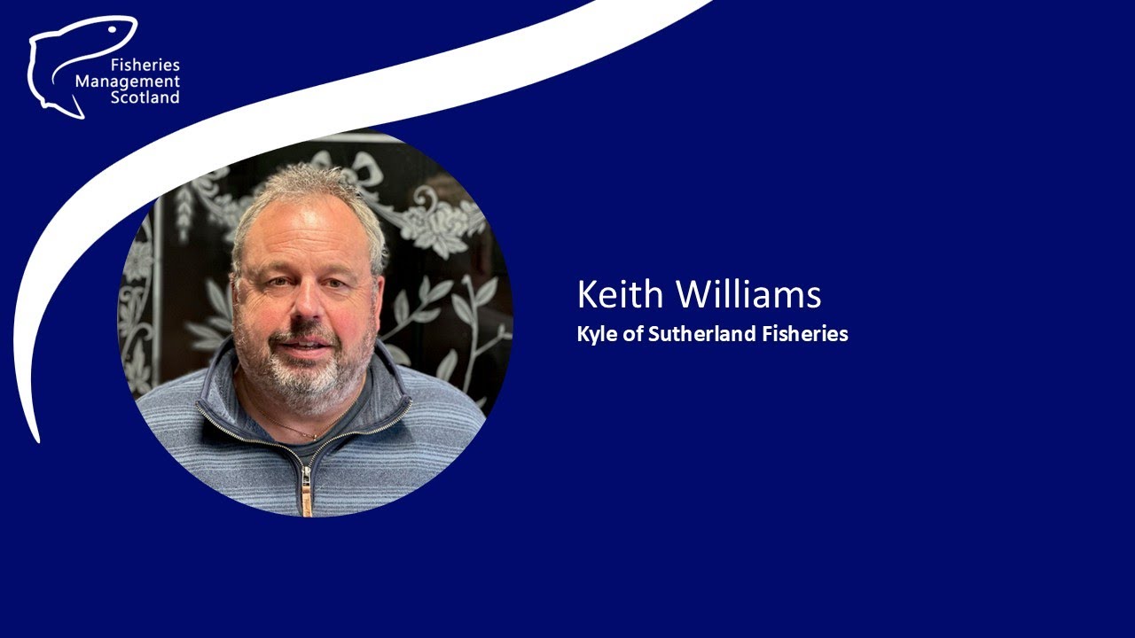 Keith Williams: Loch Shin Salmon Restoration