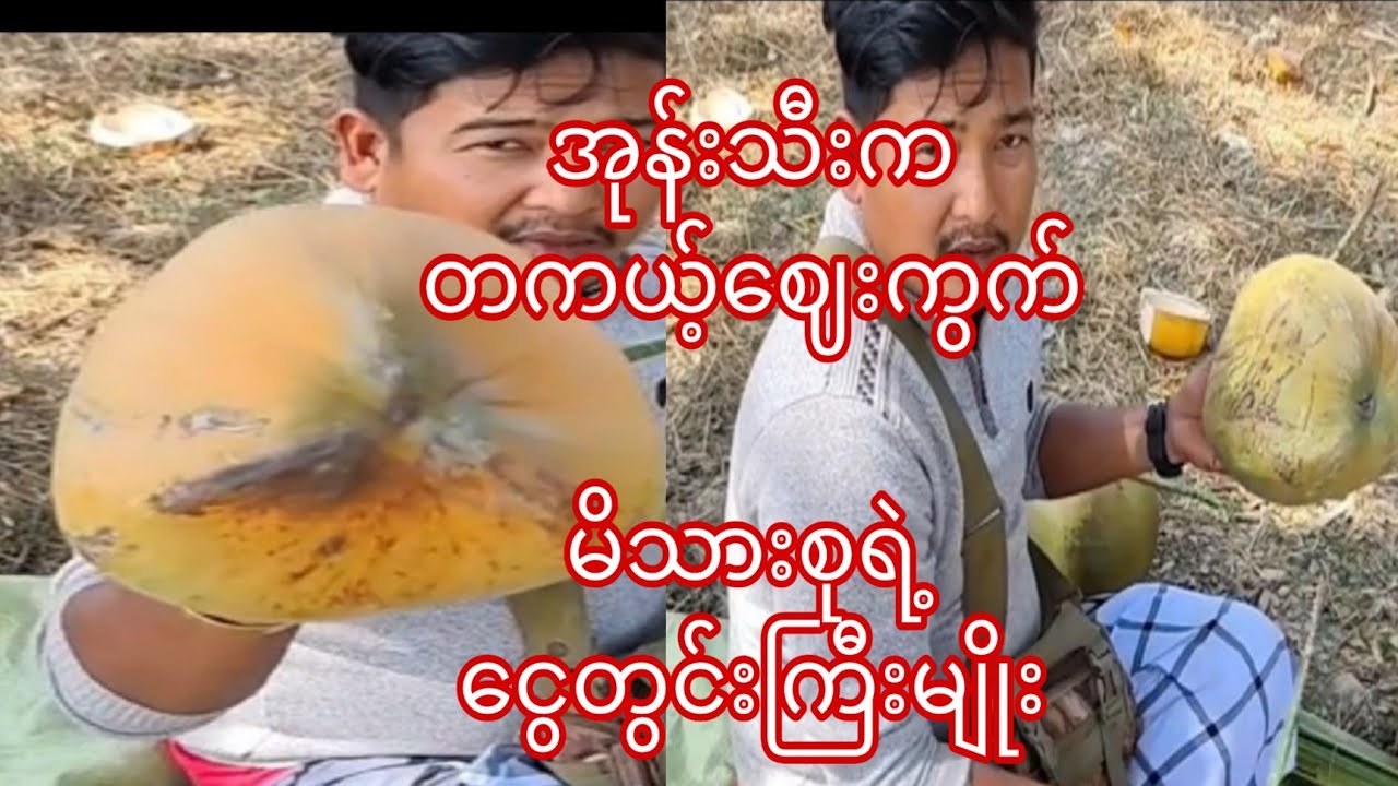 အုန်းသီးနဲ့ စီးပွားဖြစ်နေသူတို့ရဲ့ သိကောင်းစရာ ဝေငှမှု