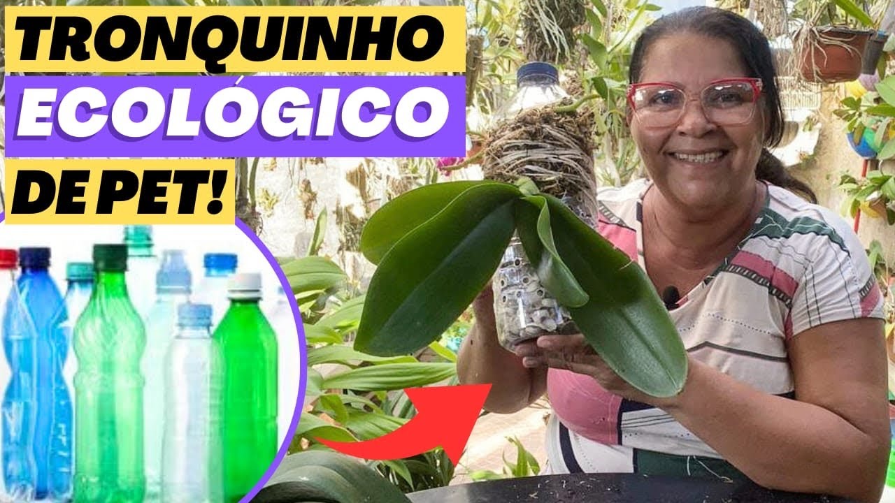 🔵COMO PLANTAR ORQUÍDEA NO TRONQUINHO ECOLÓGICO DE GARRAFA PET⁉️
