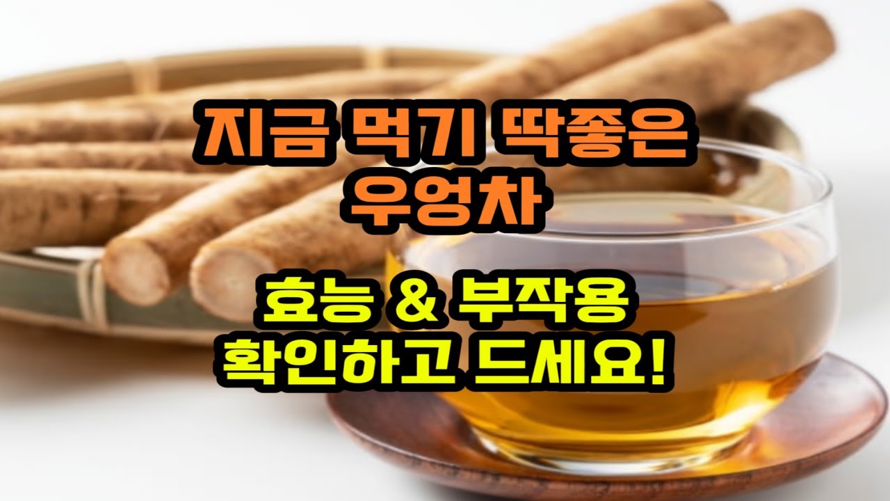 우엉차 효능 너무 좋지만 부작용은 확인하고 드세요~