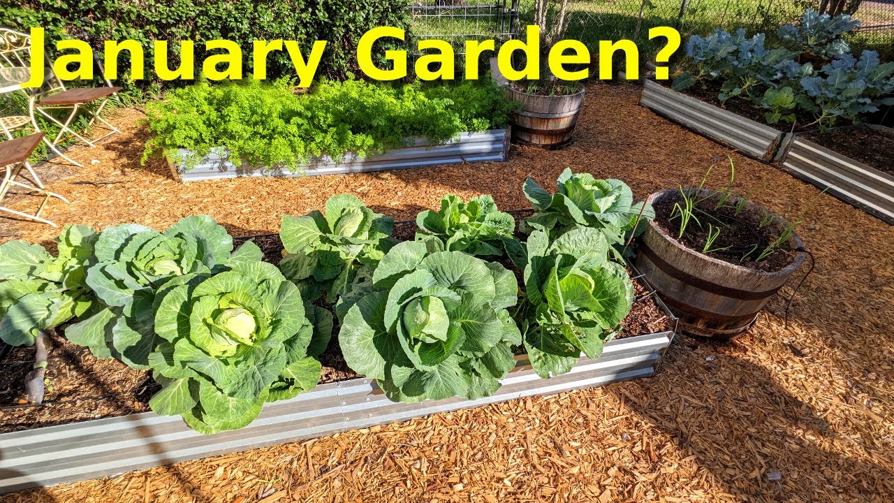 January Garden Tour at Deep South Texas