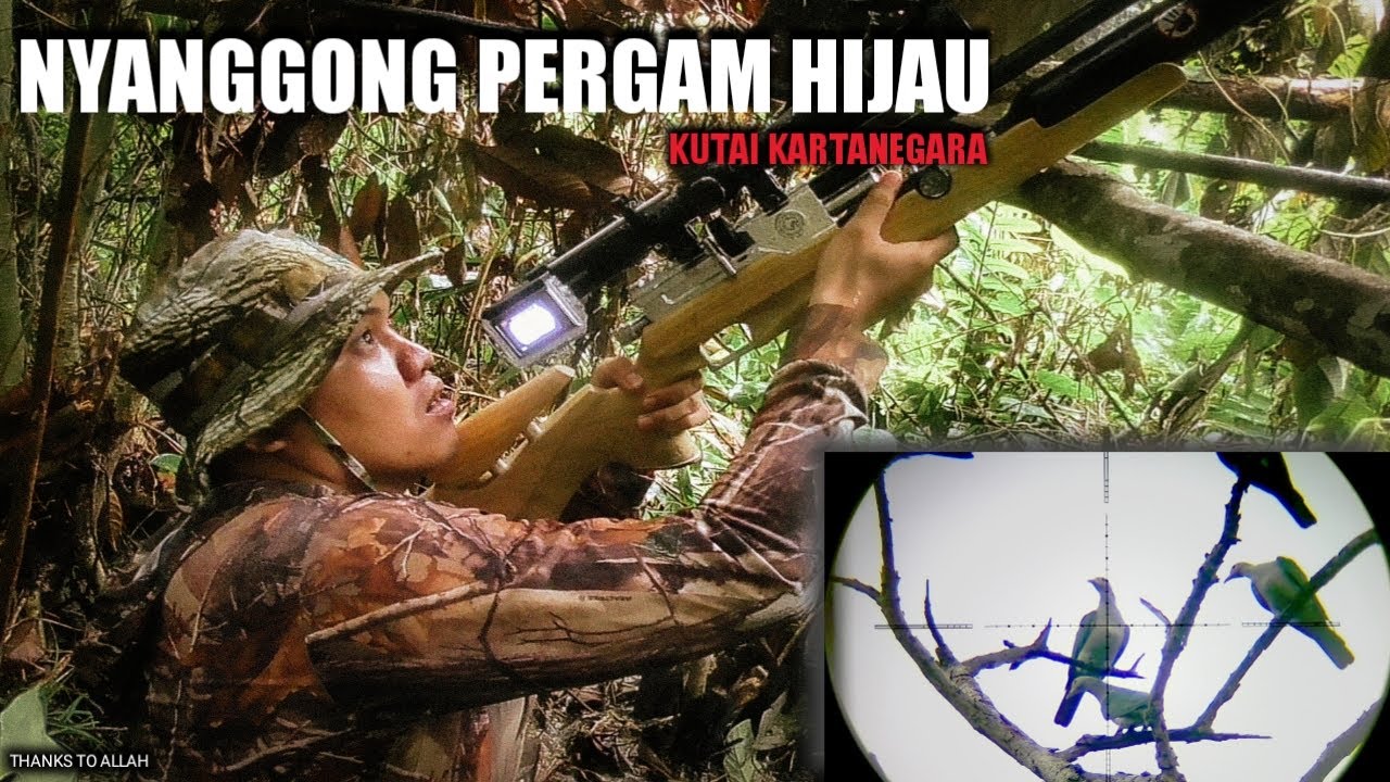 BERBURU PERGAM HIJAU, EDISI MUSIM HUJAN | AIRGUN HUNTING