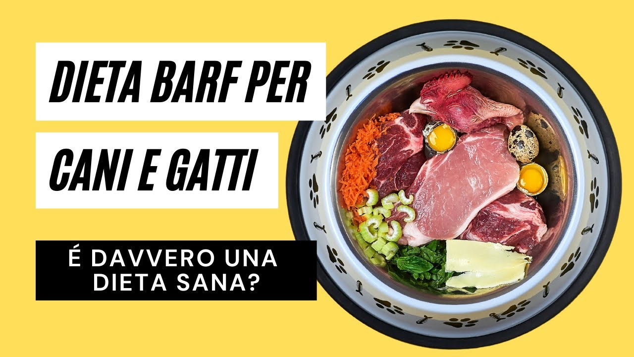 Dieta BARF per CANI: cos'è e quali sono i pro e contro?