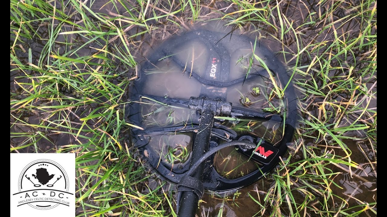 Metal Detecting with Anglesey Celtic Detecting Club