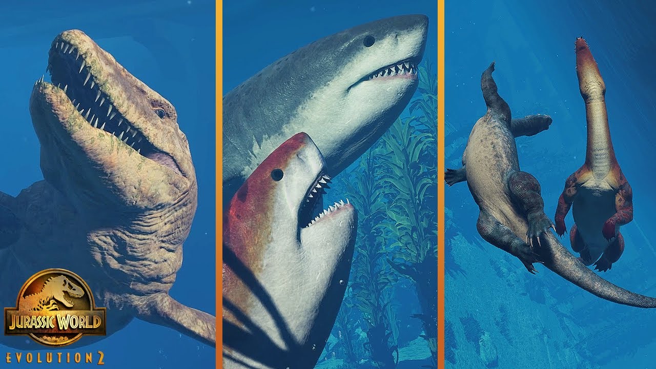 All Aquatic Species Social Animations In Jurassic World Evolution 2 (Megalodon Update)