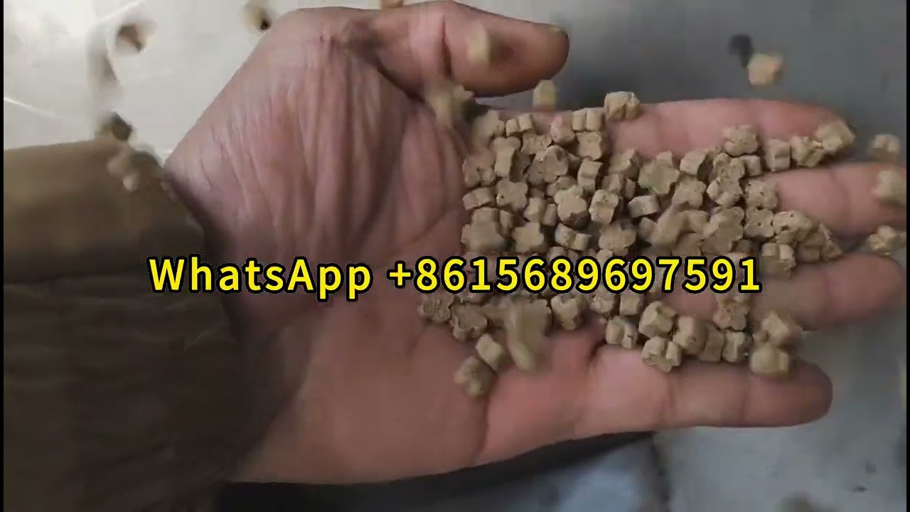 Dry Pet Food Manufacturing Line Auto Cat Feed Process Equipment Dog Food Machine Plant Price