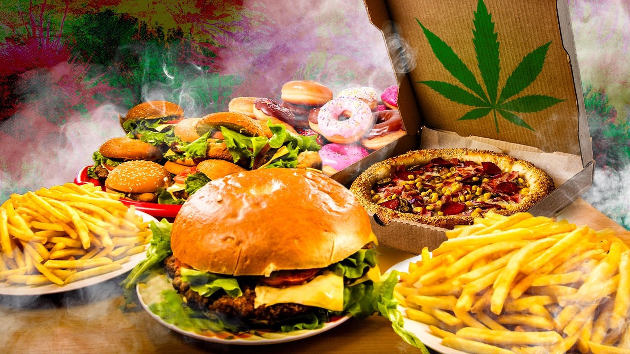 O que a MACONHA faz no CORPO?