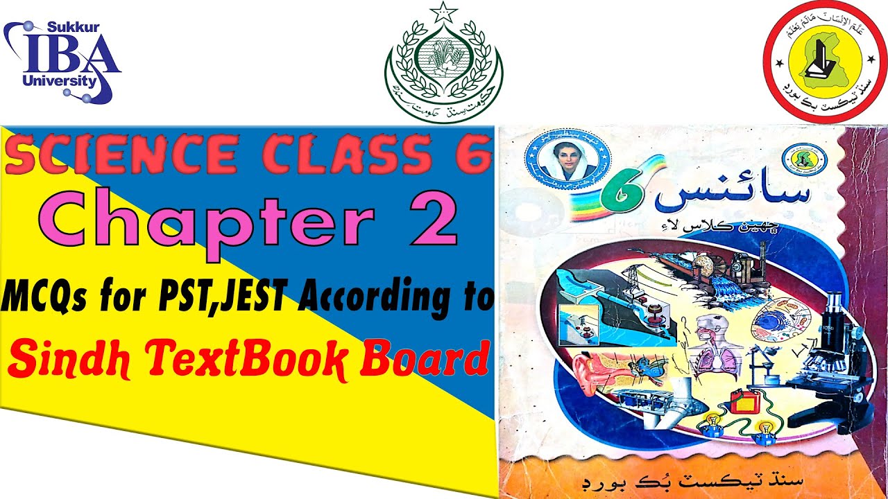 Science Class 6 Chapter 2 I STB Science I Sindh Textbook Board I Class-6 Chapter-2 Science MCQs