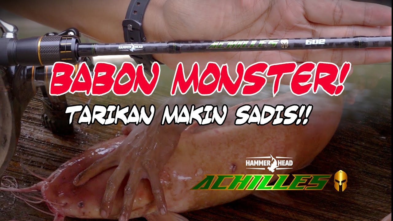 Hammerhead Achilles hadir dengan blank seimbang, presisi,  dan tenaga besar saat fight