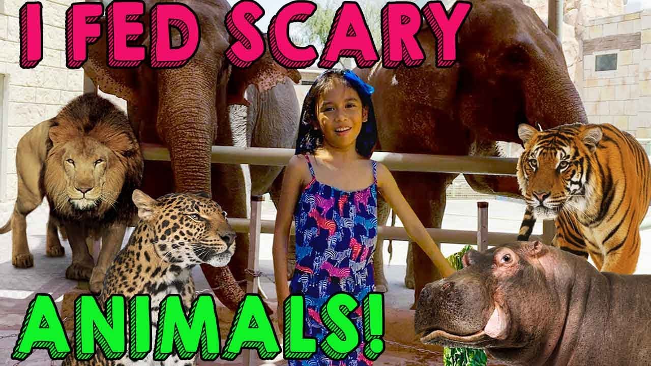 Ira and Bella Feed CUTEST ANIMALS in the World | Wild Zoo Animal Video for Kids and Family