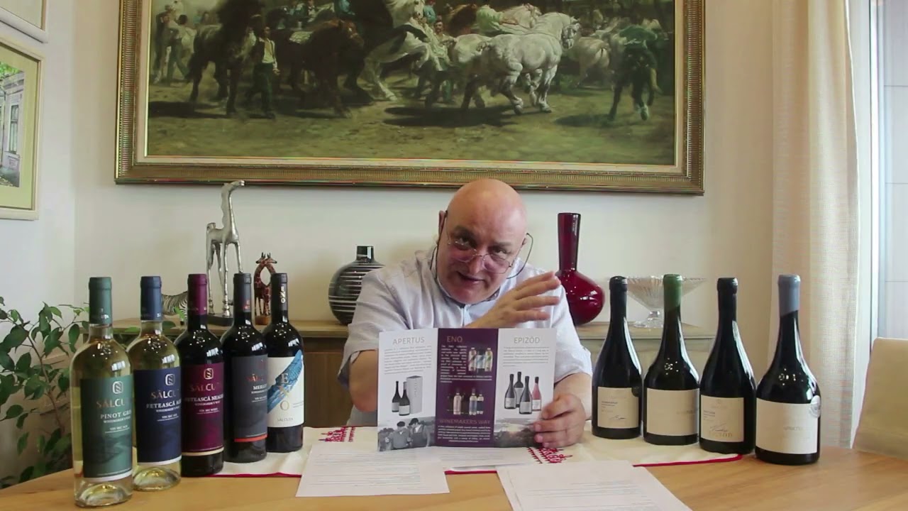 Wine Lovers' Destination: Moldova! - Sălcuţa Winery