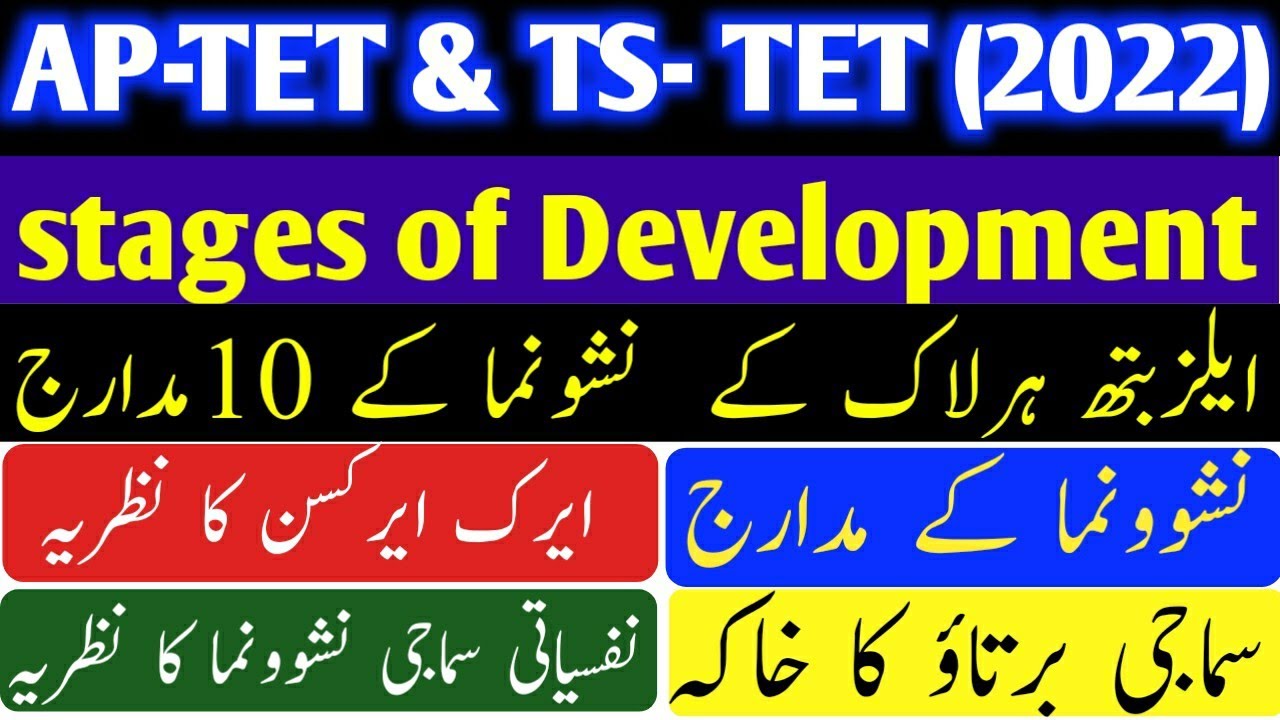 ts tet psychology | stages of development | tet psychology imp bits | pattern of social behaviour