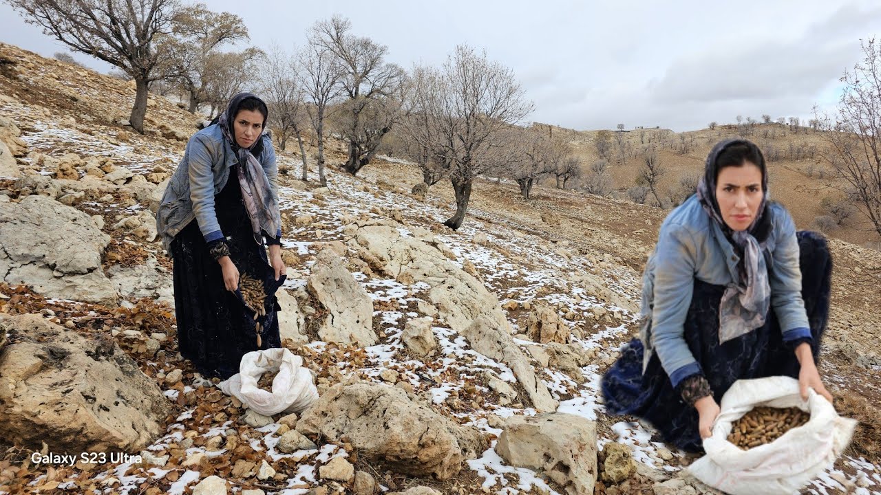 Selling Oak for Freedom! 🏔️ A Nomadic Mother's Battle with Poverty in the Heart of Cold Winter
