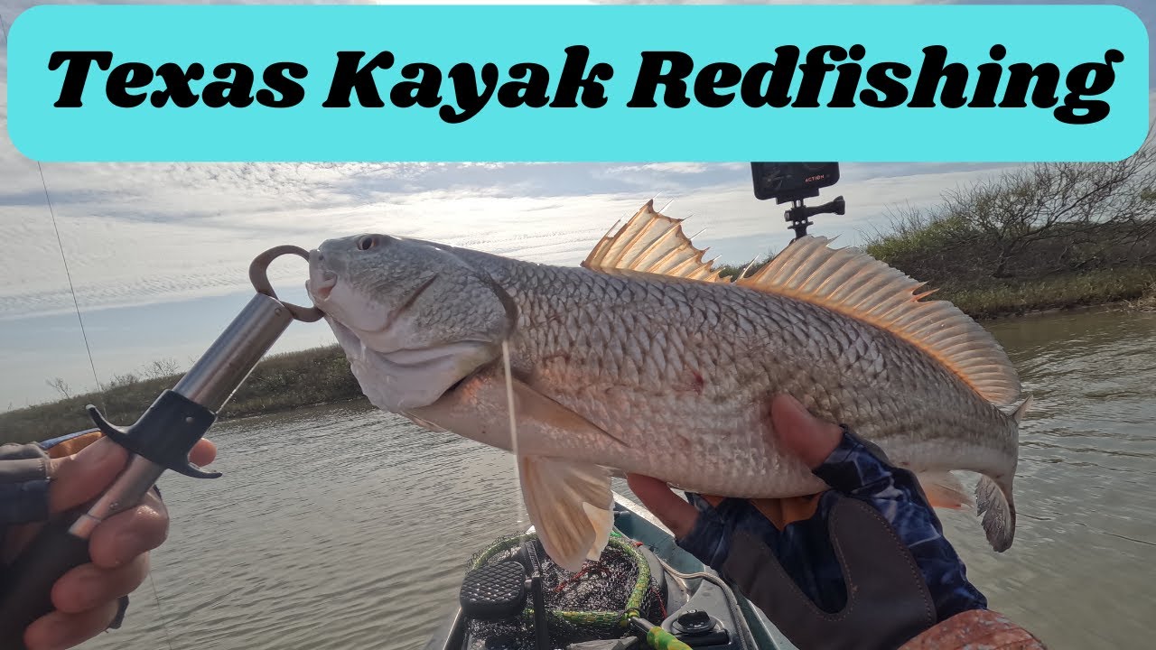 Texas Kayak Redfishing! Fishing for redfish in the middle of January 2026. Catching them like crazy!