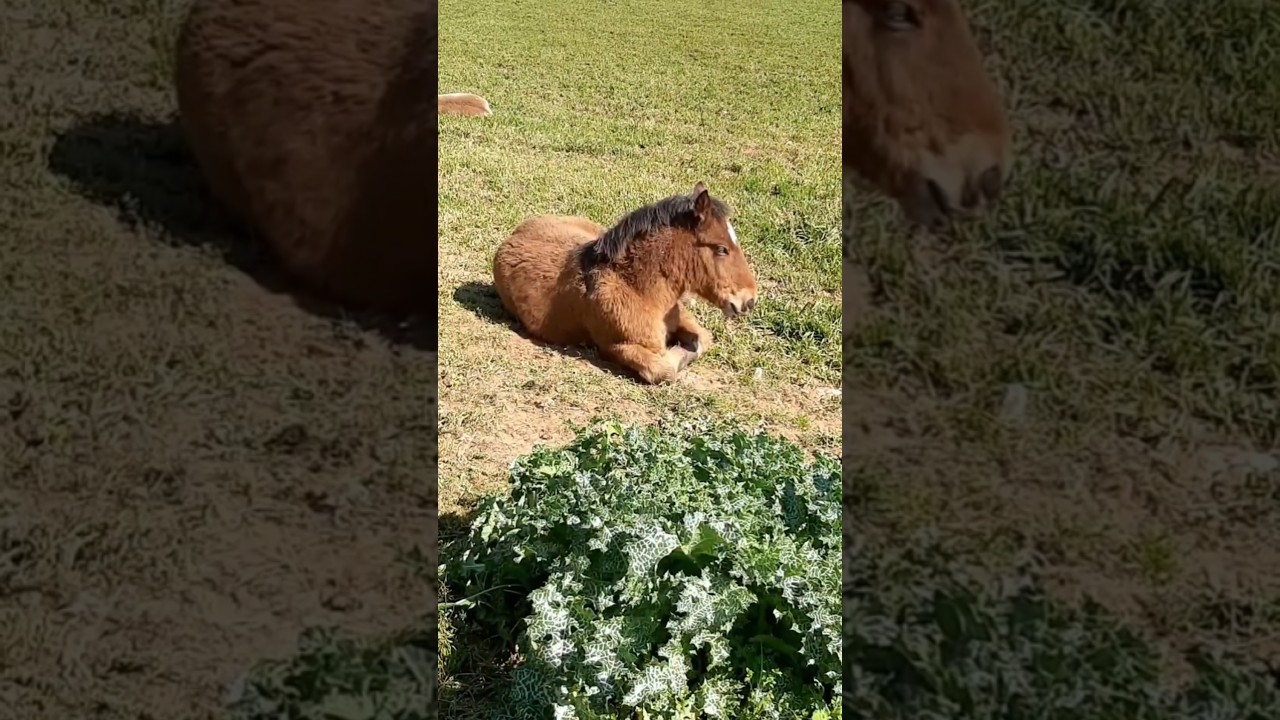 Relaxing in Nature &ndash; A Moment of Gratitude