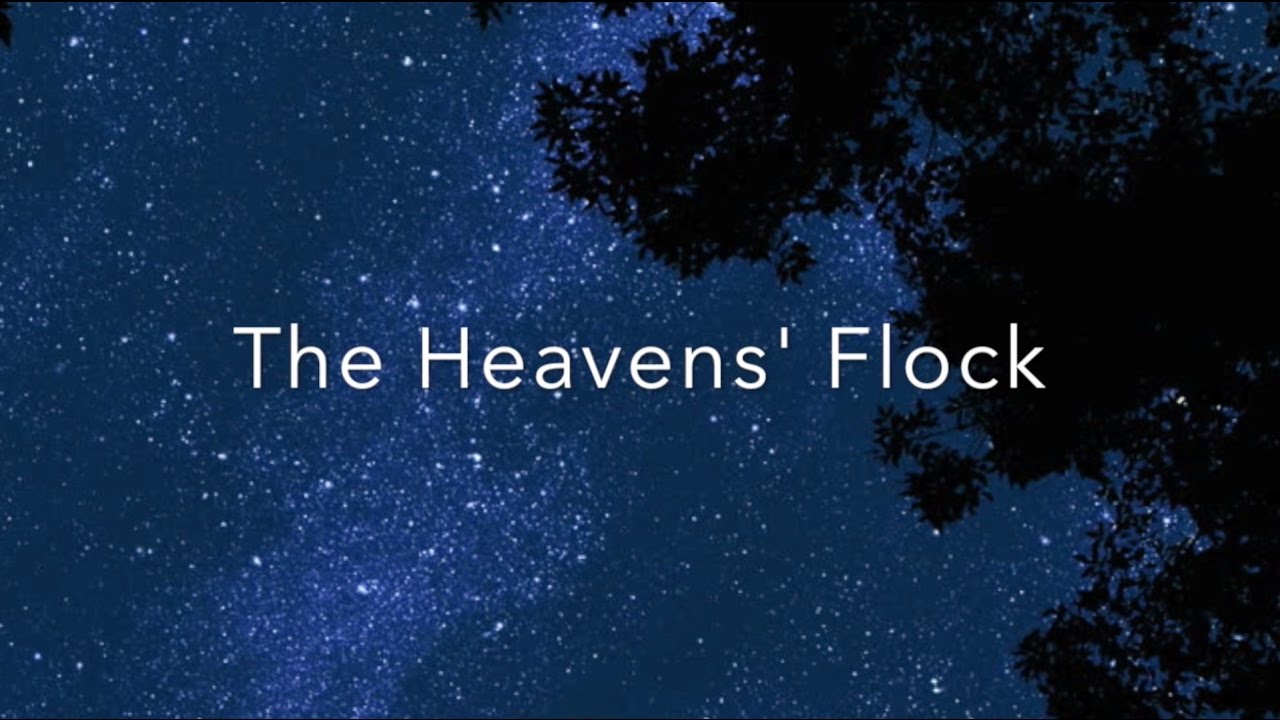 The Heavens' Flock