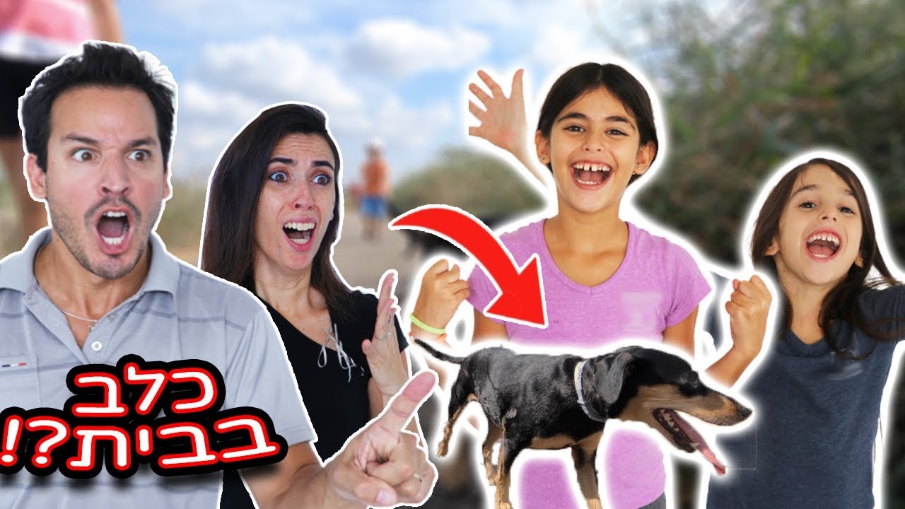 ...אימצנו כלב חדש?! הלך עלינו