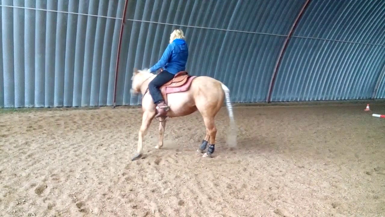 20161102 1419012