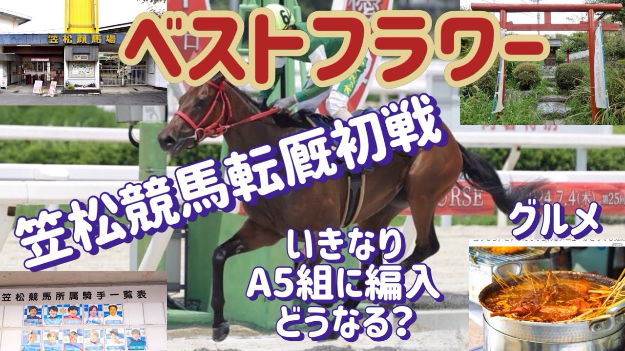 [競馬・馬主] 笠松競馬転厩初戦　ベストフラワー いきなりAクラス編入 結果は？