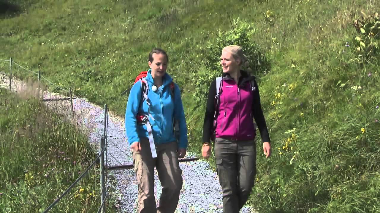 freizyt.TV RailAway Schweizer Alpen