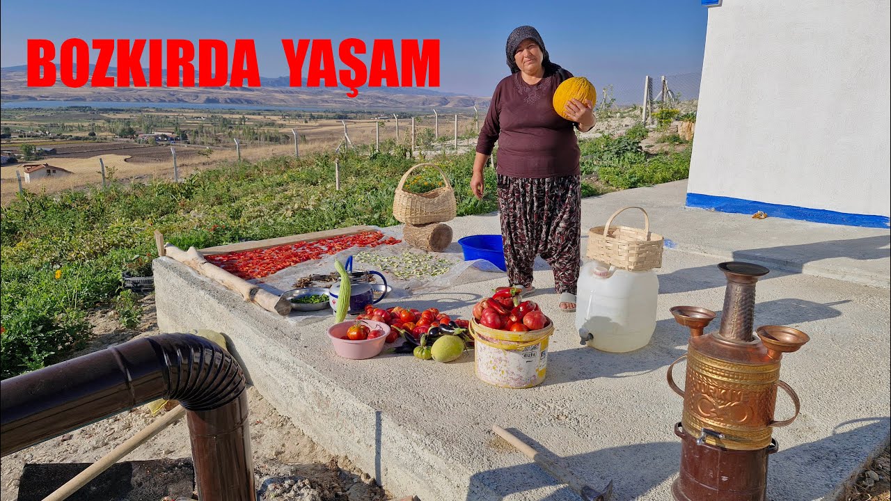 KÖYDE YAŞAM BAHÇEMİZİN BEREKETİ YORUMLARINIZA ELEŞTİRİLERİNİZE CEVAP BOL HASAT
