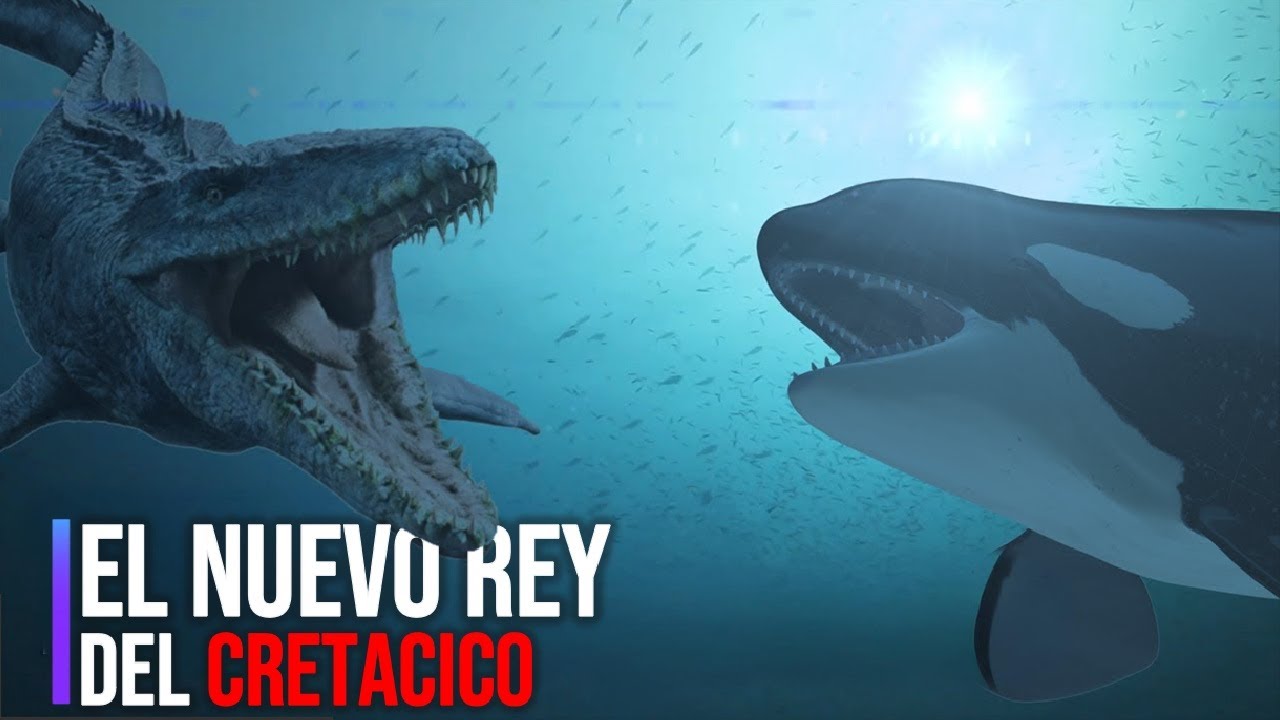 &iquest;Podr&iacute;an las orcas sobrevivir al Cret&aacute;cico? El peor oc&eacute;ano de la historia