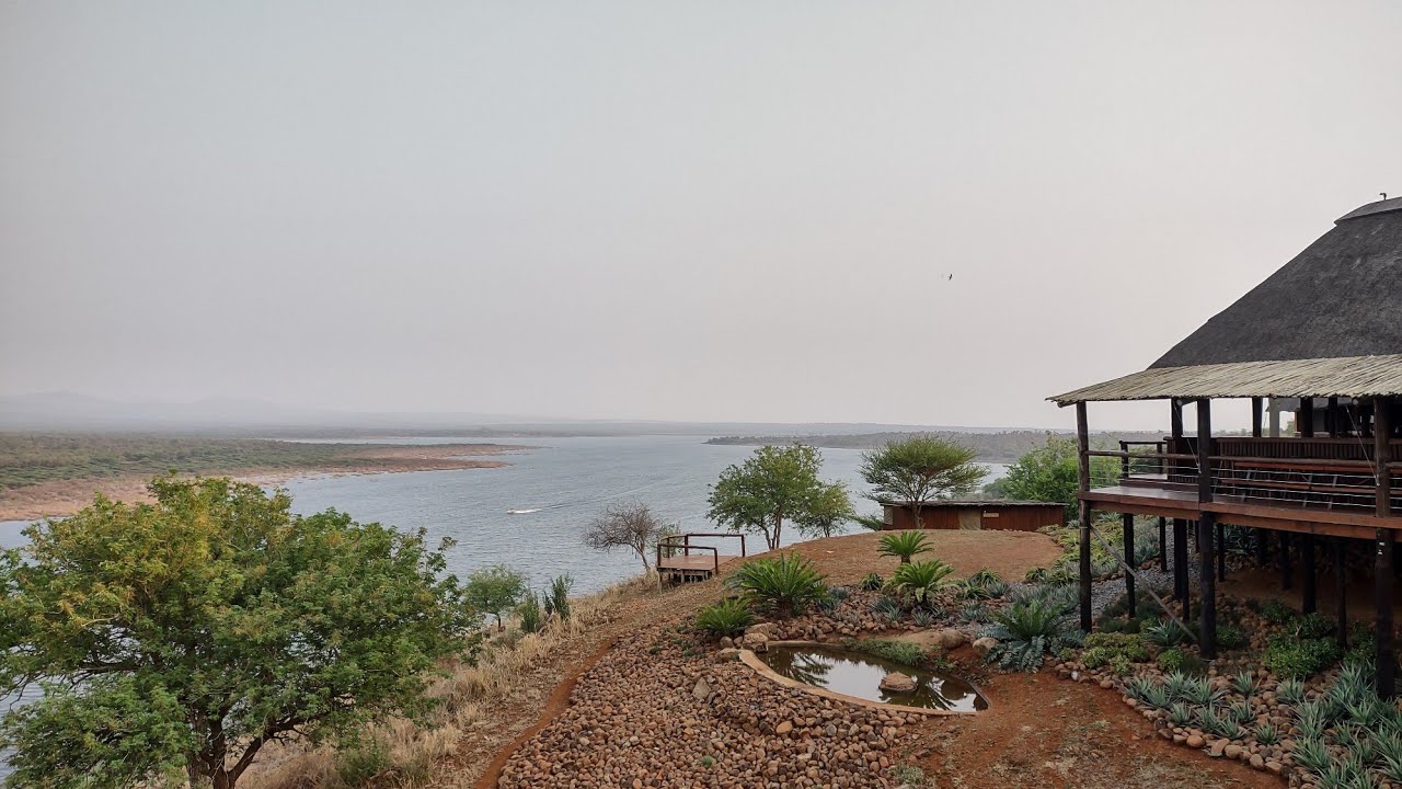nkwazi lodge jozini dam. #tigerfish #shorts #viral #fyp #nature #travel 