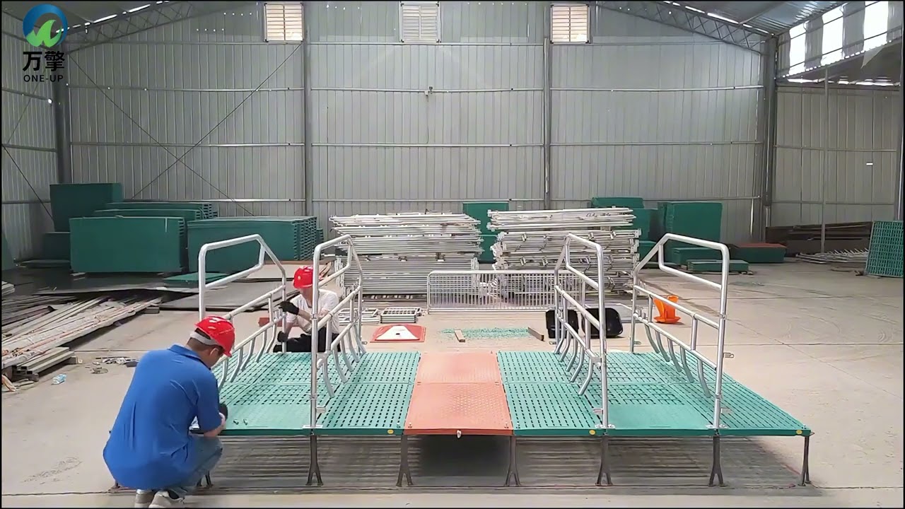 The pig farrowing crate installation #pig #farrowingcrate #animalfarming #farmingequipment