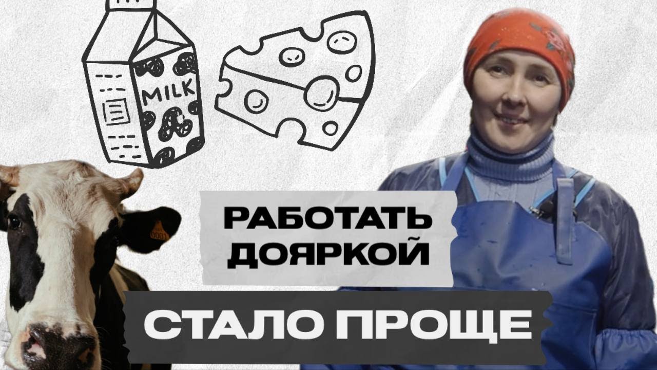 Оператор машинного доения Анна. Тяжело ли работать дояркой?
