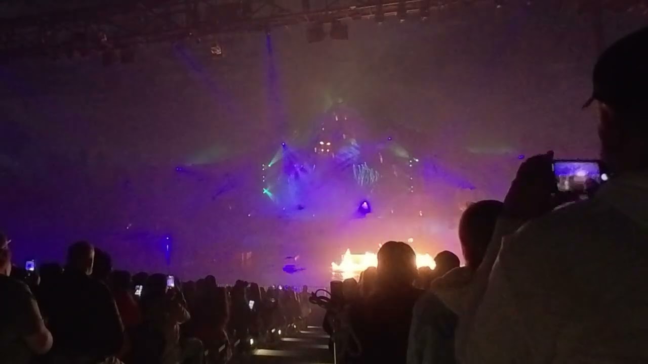 various scenery Walt Disney World  20251226 20260106 WDW016 #disney