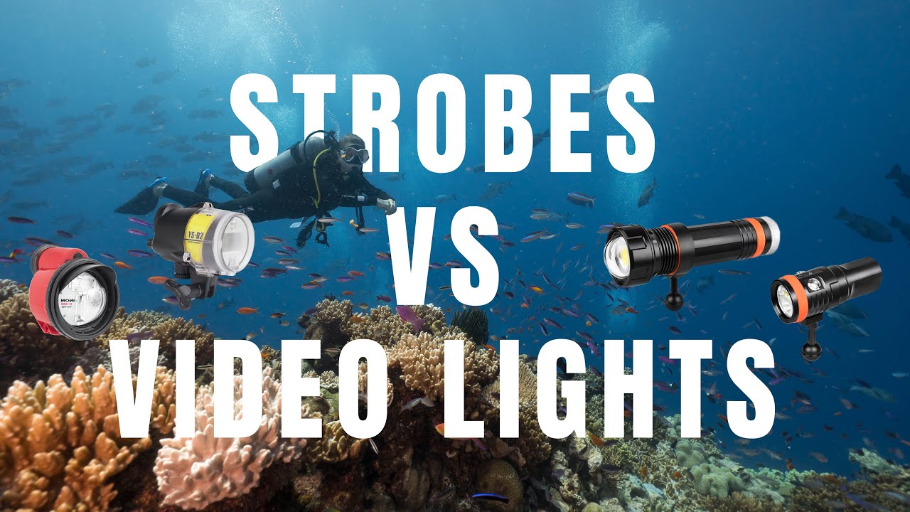 Strobes VS Video Lights for UW Photography | OrcaTorch