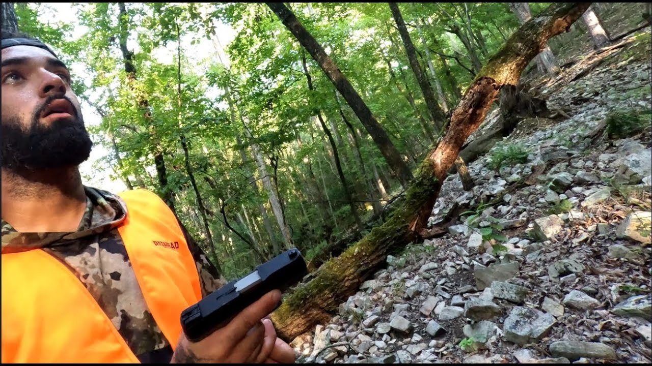 Hunting deer in Georgia wma