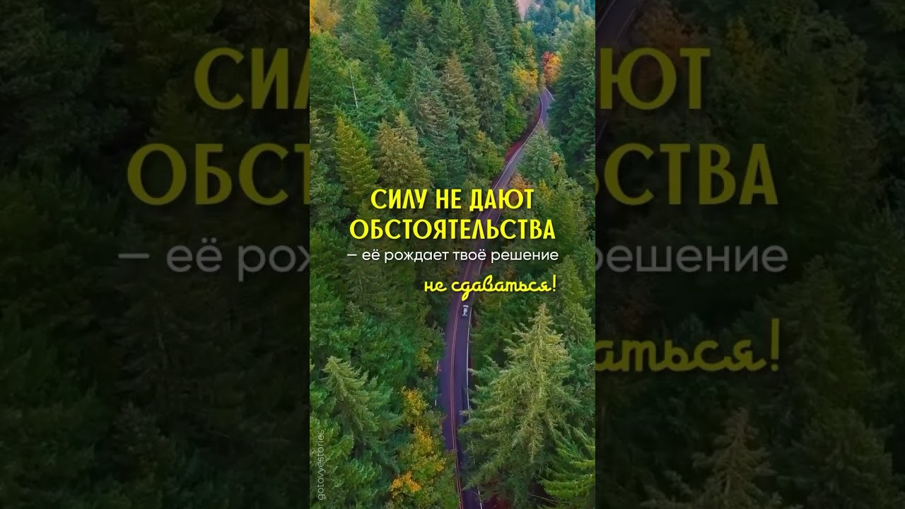#несдавайся #ривкаткаченко #бог #жизнь #любовь #истина #вера #левиофан #иисус