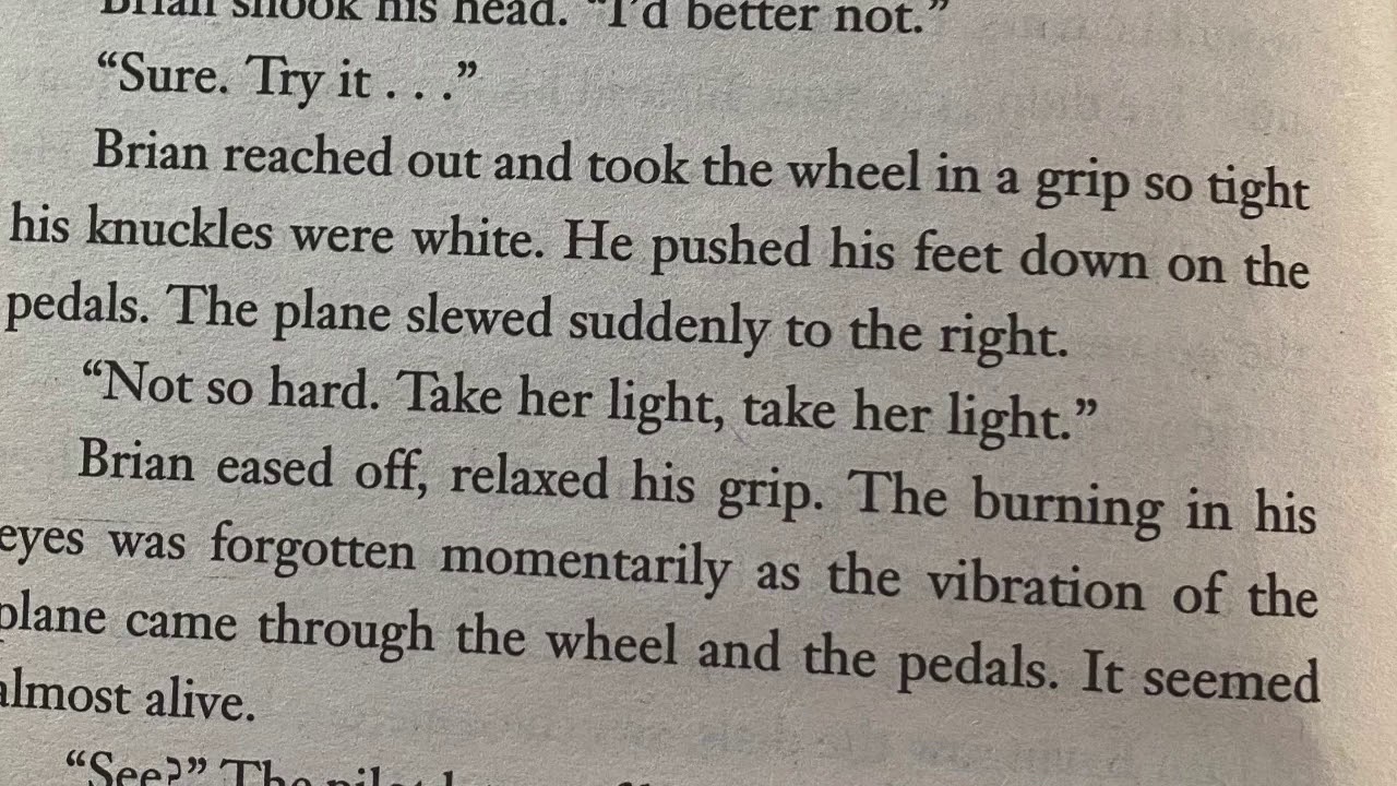 Hatchet Chapter 1