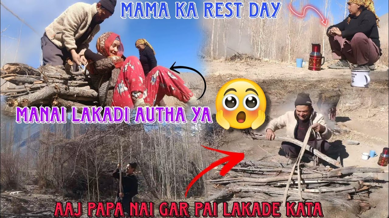 aaj gar pai lakadhi kata papa nai 🪓|| mai nai lakadhi uthaya😱||ladakhi youtuber