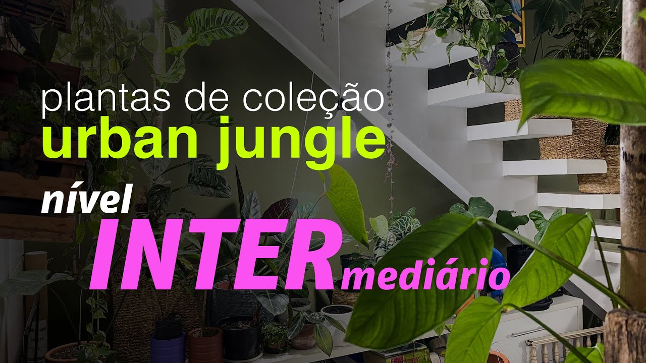 Plantas de Coleção Urban Jungle | Nível Intermediário | Jardineiros Urbanos por Flay
