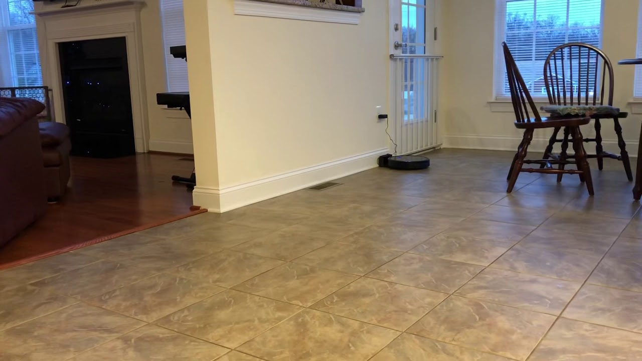 6 month old Corgi puppy Fuji has zoomies with a rawhide