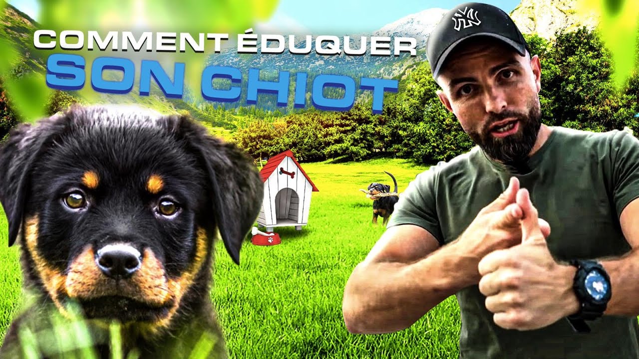 Comment ÉDUQUER son CHIOT ?