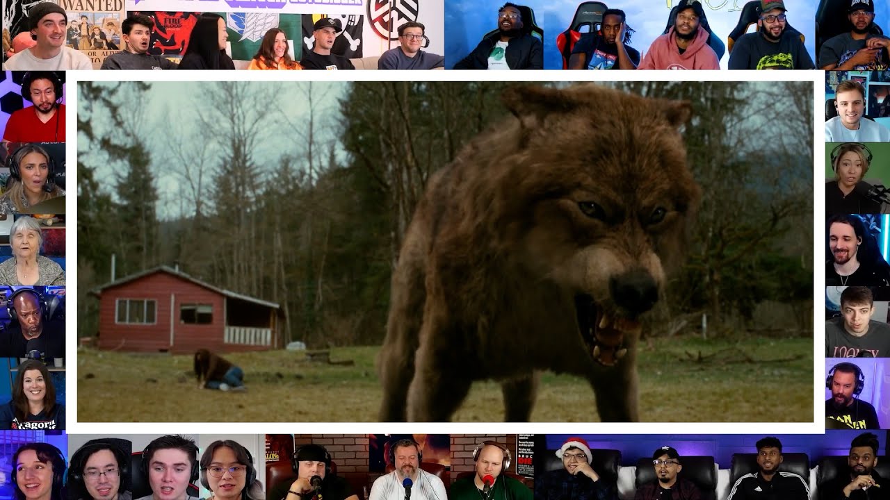 Jacob Wolf Transformation Scene | New Moon : 2009 | Reaction Mashup
