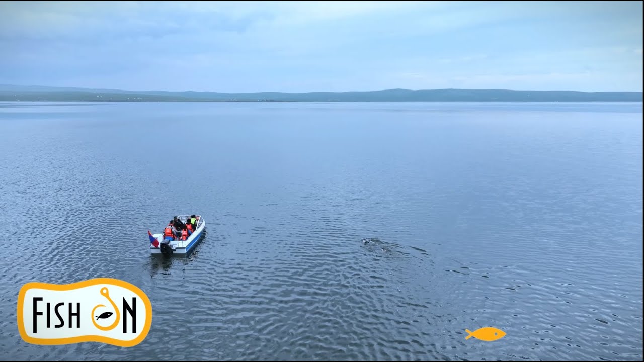 Өгий нуурын хойд эргээс урьд руу нэвт сэлсэн 4.16км