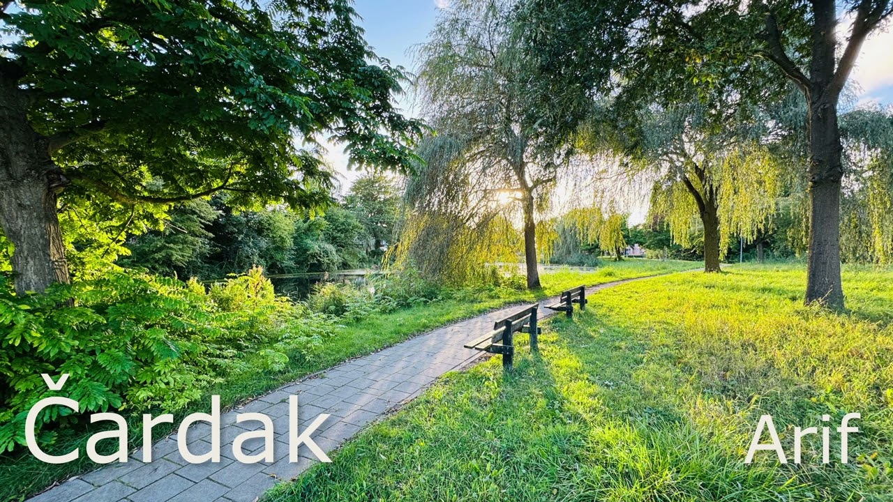 Cardak