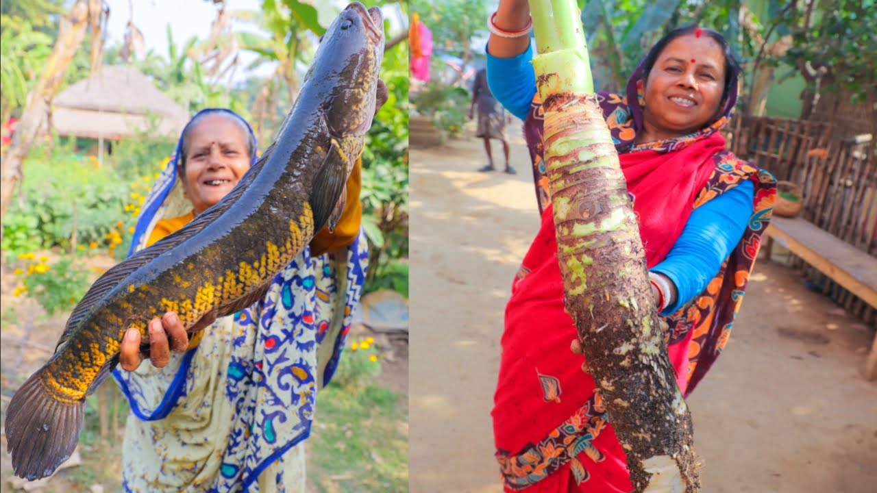 মান কচু দিয়ে শোল রান্না তার সাথে কলই শাক দিয়ে শোল মাছের মাথা রান্না |