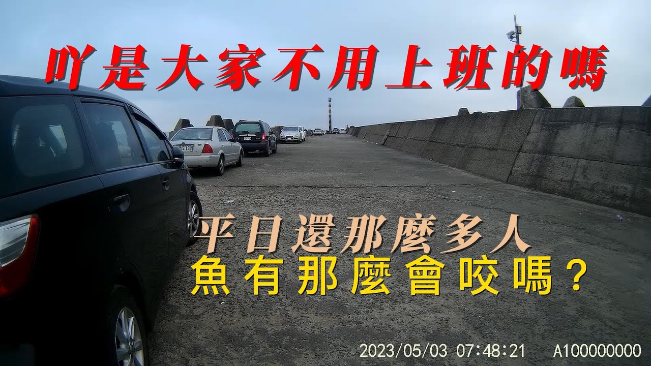5月03苗栗苑裡松柏漁港真是魚很多的地方黑格豆豆魚