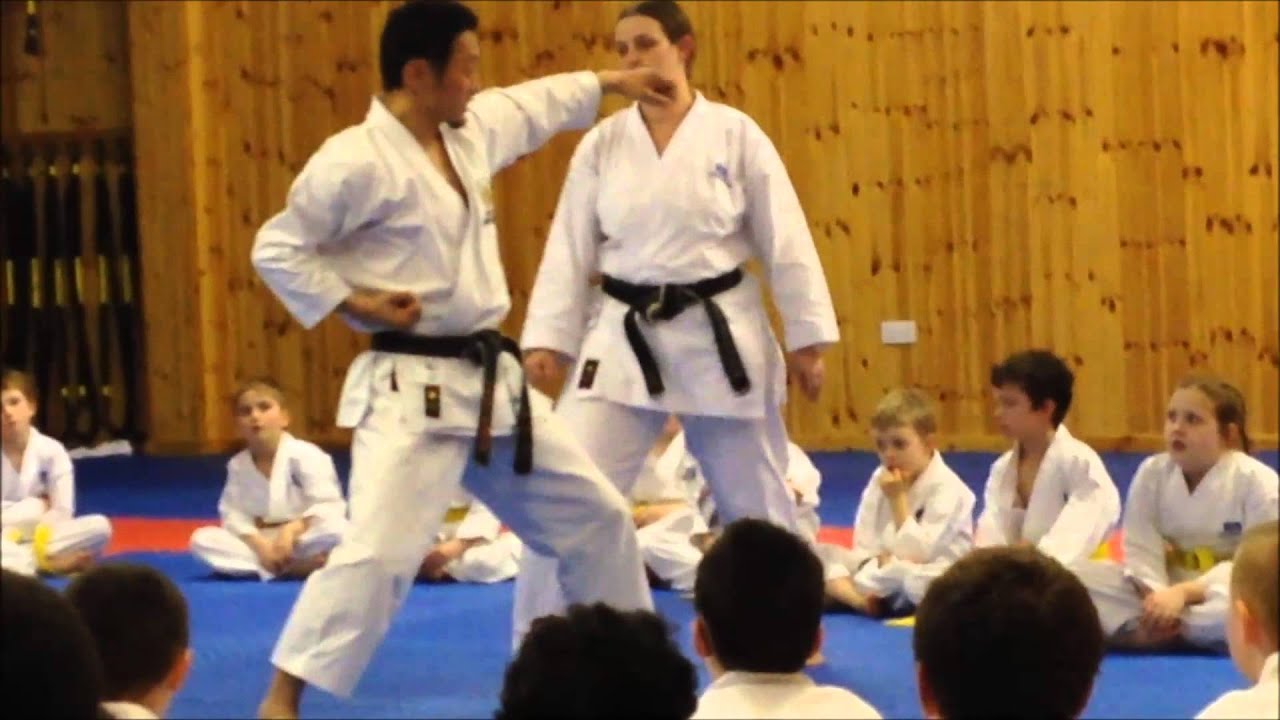 Heian Sandan details with Yamaguchi Sensei
