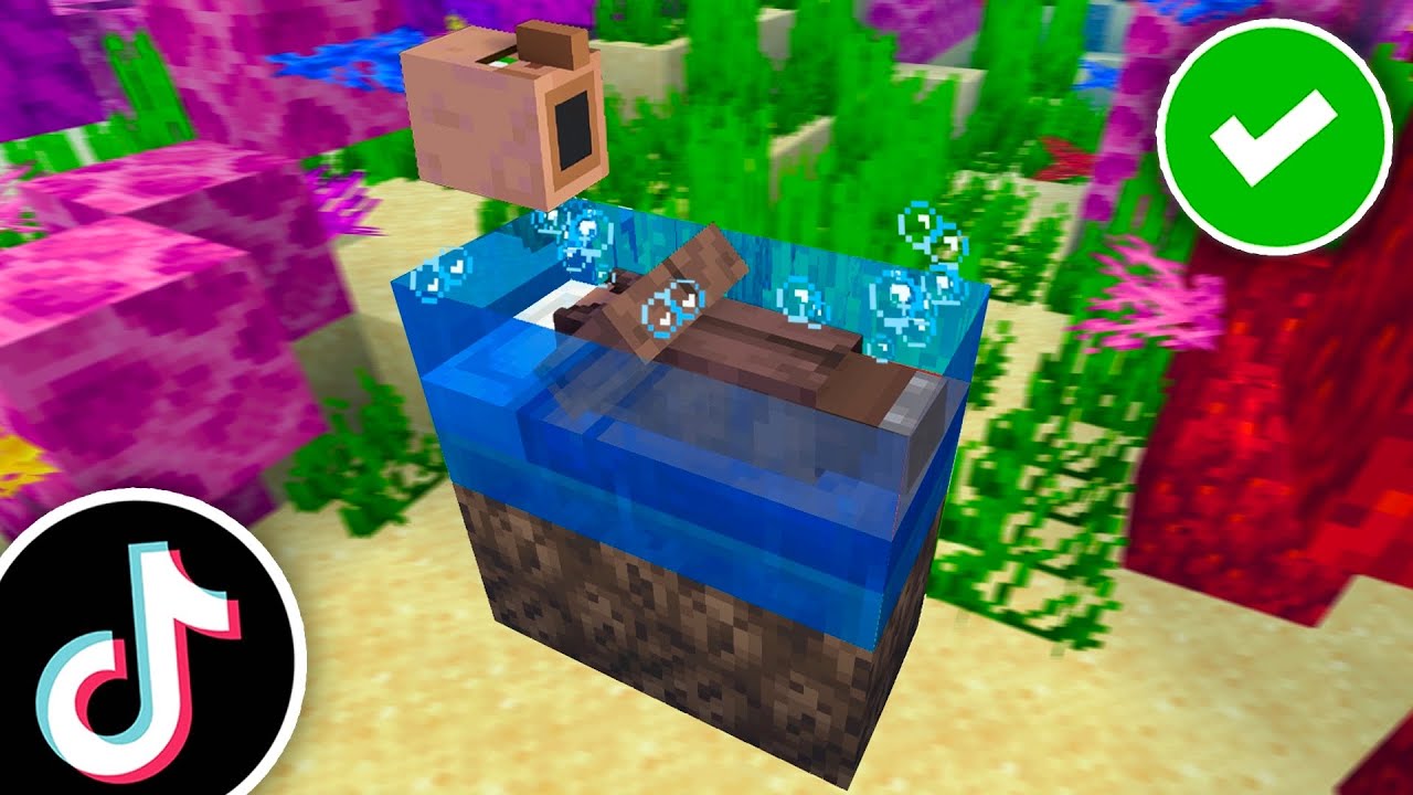 Minecraft Experimenty na Villagery