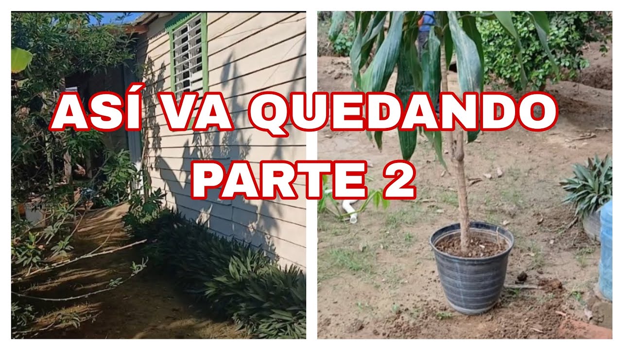 PARTE 2/MI CASA DEL CAMPO🥰🏡 / BARRIENDO, PINTANDO Y SEMBRANDO MIS PLANTAS 🪴
