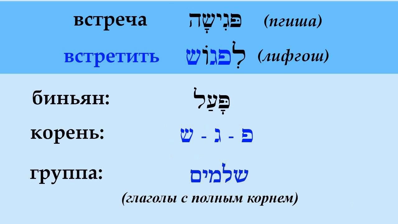 Глаголы в иврите ВСТРЕТИТЬ / ВСТРЕТИТЬСЯ  (спряжение, примеры употребления)