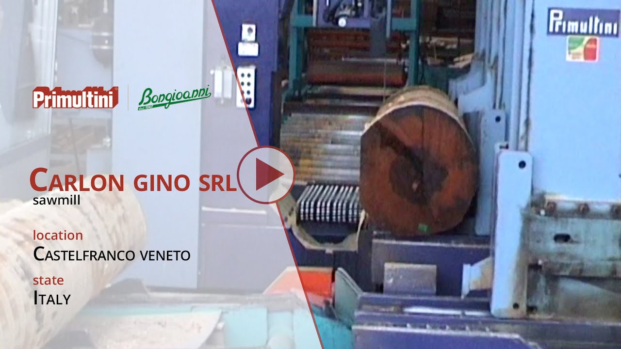 Sawmill Carlon - Primultini